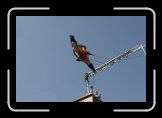 l'essenciel 005 * 3504 x 2336 * (1.7MB)